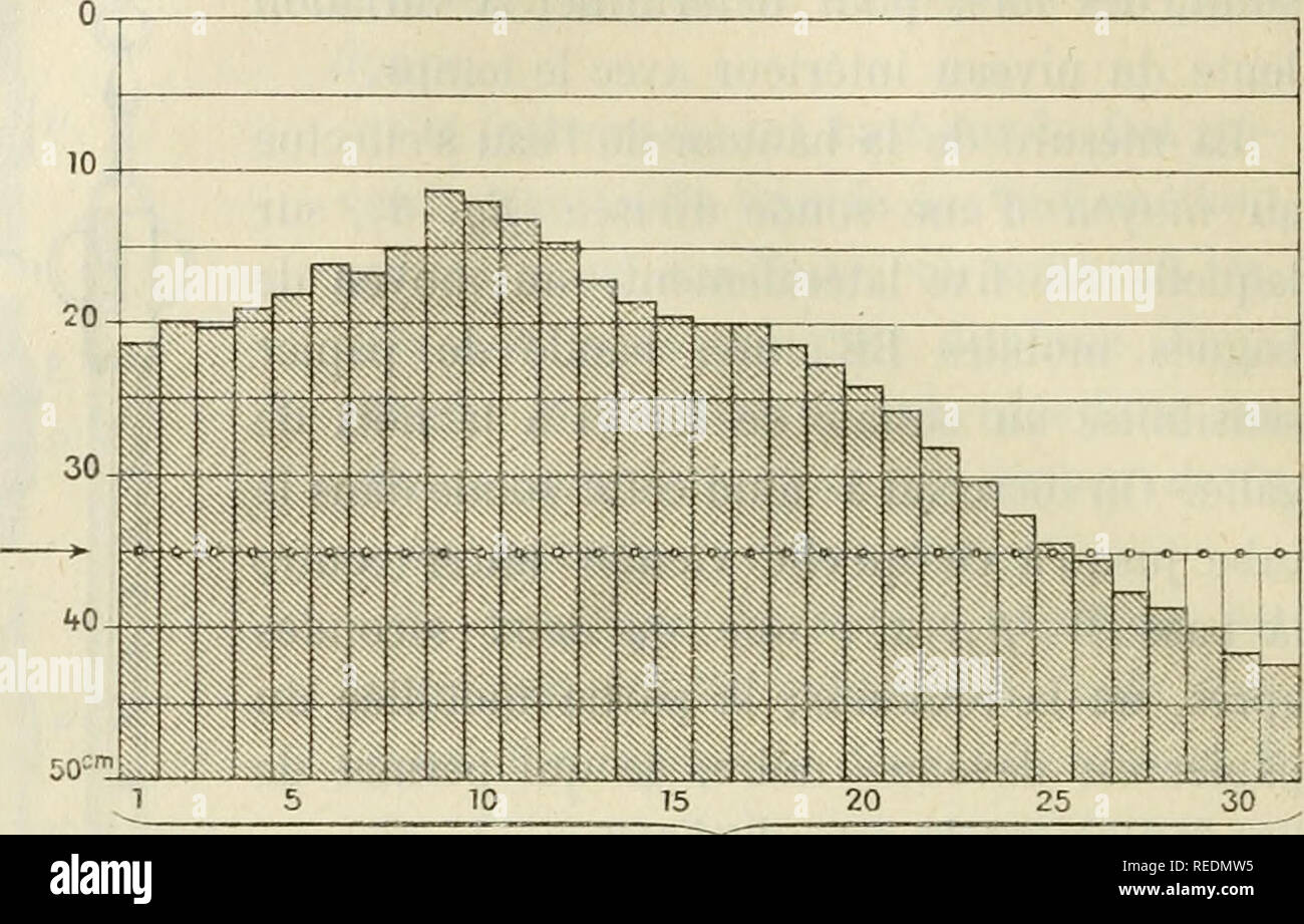 Page 6 Lvl High Resolution Stock Photography And Images Alamy