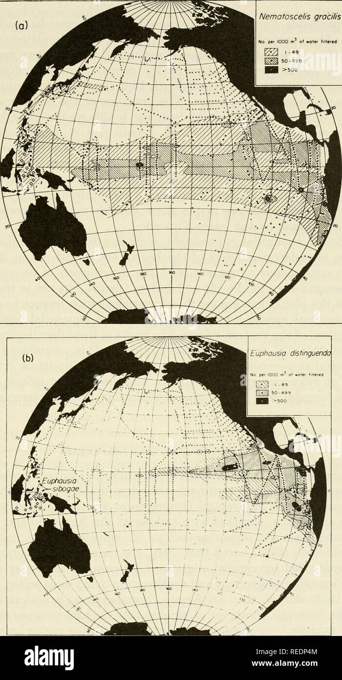 . The Composition of sea-water : comparative and descriptive oceanography. Seawater -- Composition. SECT. 4] BIOLOGICAL SPECIES, WATER-MASSES AND CURRENTS 395 Nematoscelis gracilis. Fig. 6. Geographical distribution of equatorial euphausiid species, Nematoscelis gracilis (a) and Euphausia distinguenda (b). The only other localities for these two species are in the equatorial water-mass of the Indian Ocean. Crosses in (a) indicate non- quantitative records for N. gracilis, and in (b) all known localities for E. sibogae, a species related to E. distinguenda.. Please note that these images are ex Stock Photo