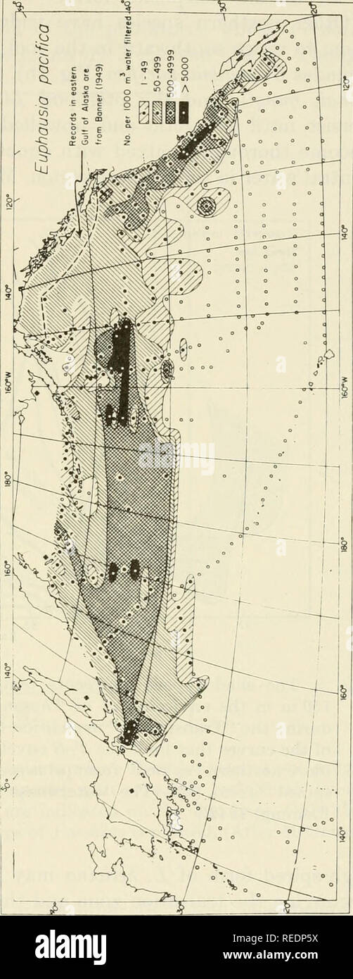 . The Composition of sea-water : comparative and descriptive oceanography. Seawater -- Composition. Fig. 1. Euphausiid species inhabiting the subarctic water-mass, (a) Thysanoessa longipes and (b) Euphausia pacifica. (Based mainly on sampling by the Scripps Institution and the California Cooperative Oceanic Fisheries Investigations between the surface and 270-300 m.). Please note that these images are extracted from scanned page images that may have been digitally enhanced for readability - coloration and appearance of these illustrations may not perfectly resemble the original work.. Hill, M. Stock Photo