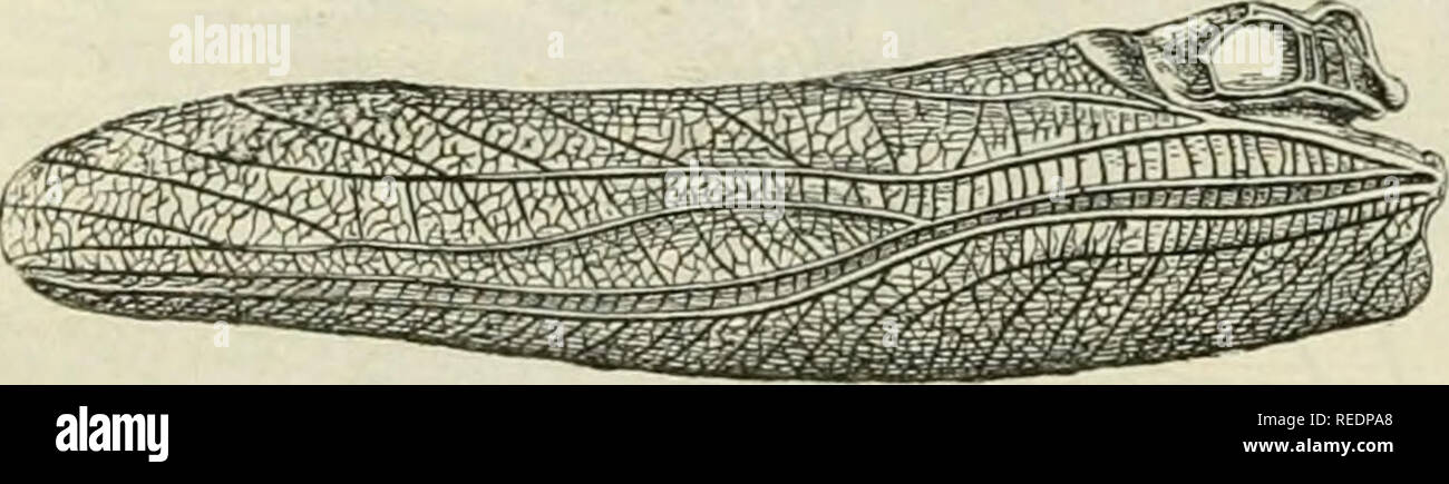 page 3 inconnues high resolution stock photography and images alamy