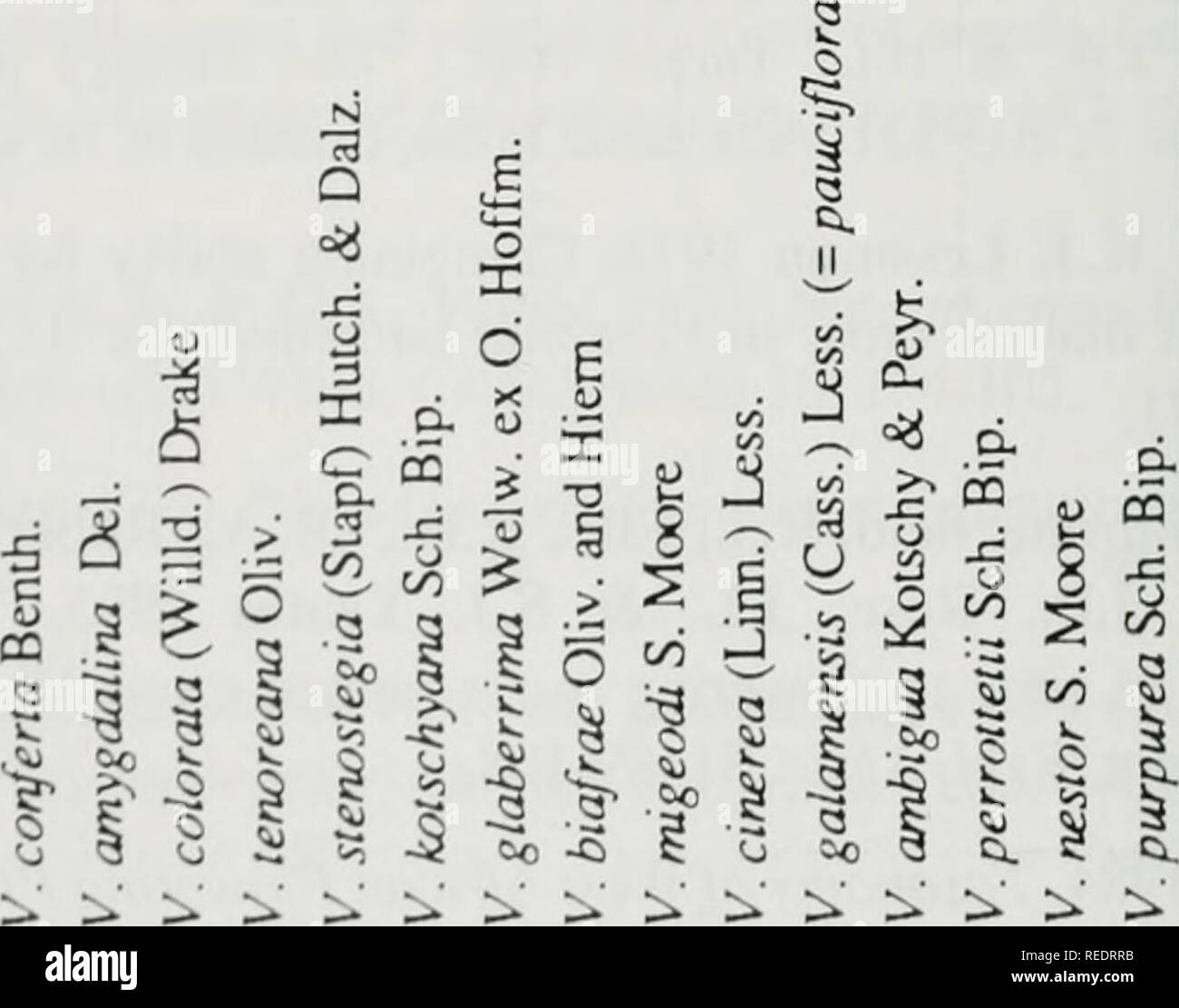 Compositae Newsletter Compositae A R4r Ta L Gt Cr 3c O A S M A Wi 13 Bu A P S X A U T Gt 1 B 7 S Fe V A N Fr I