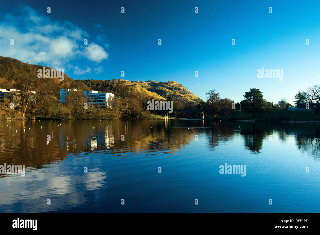 Dumyat, from Airthrey Loch, the University of Stirling, Stirling, Stirlingshire Stock Photo