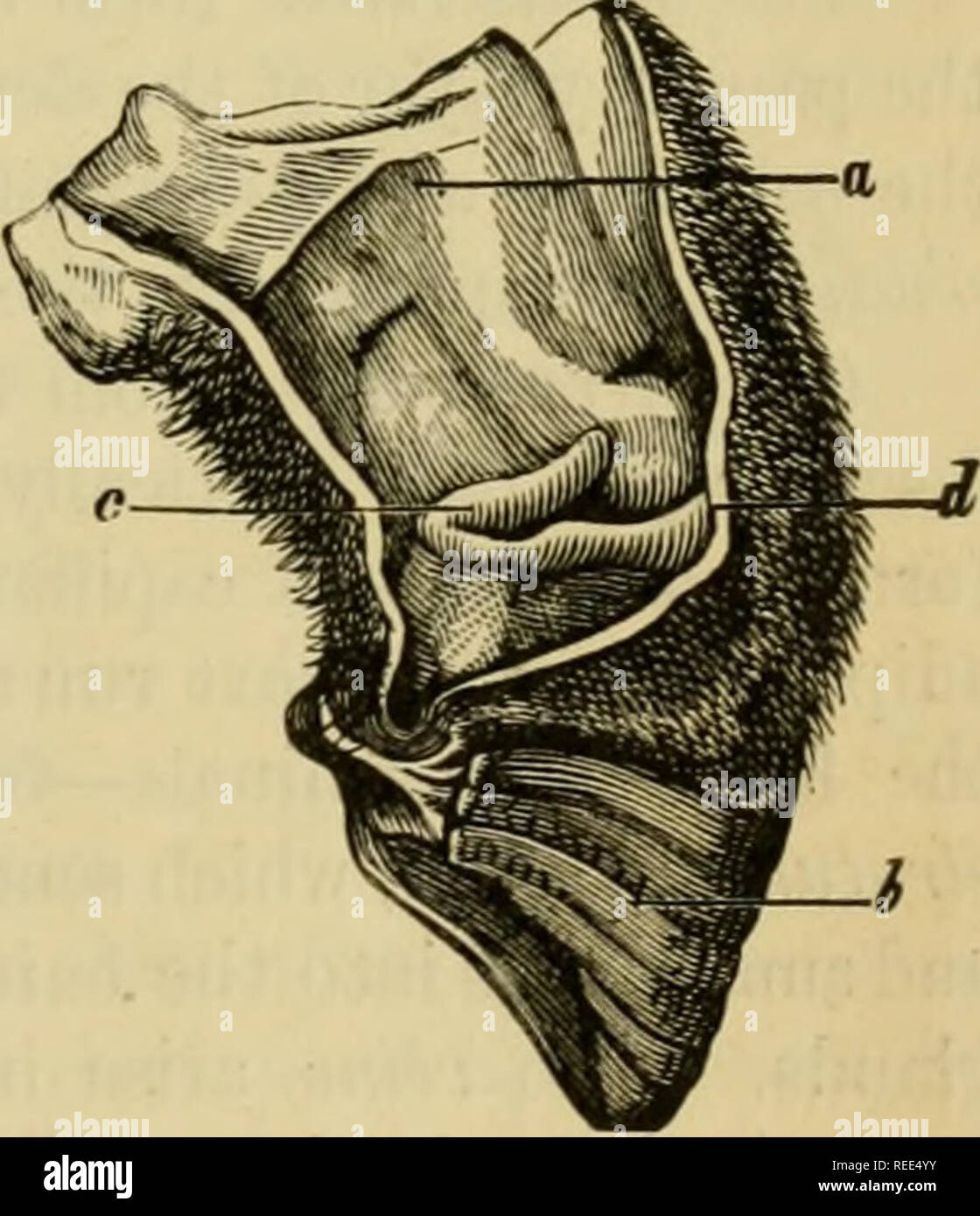 Tactile bodies hires stock photography and images Alamy
