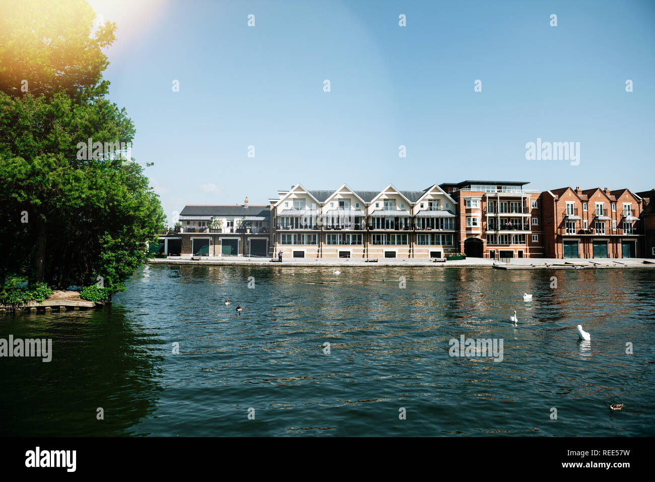 WINDSOR, BERKSHIRE, UNITED KINGDOM - MAY 19, 2018: Luxury houses on Tamisa river with swans and blue clear sky Stock Photo