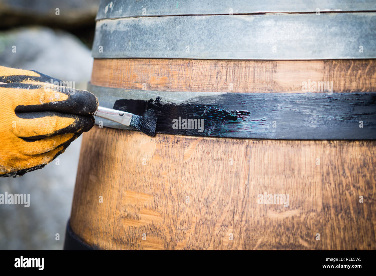 Barrel restoration, a man painting an old wine barrel. Half barrel for