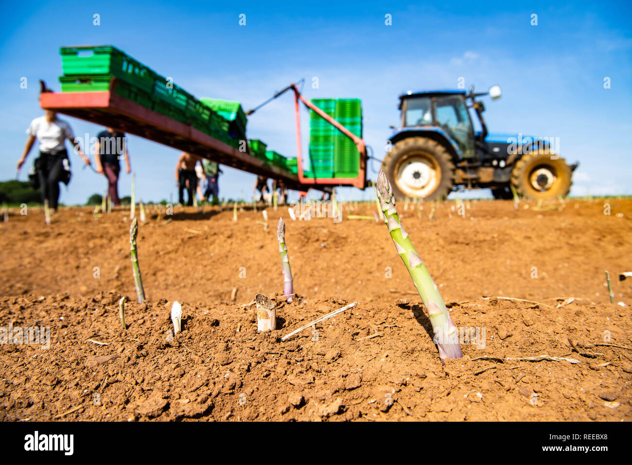 Farm workers england hires stock photography and images Alamy