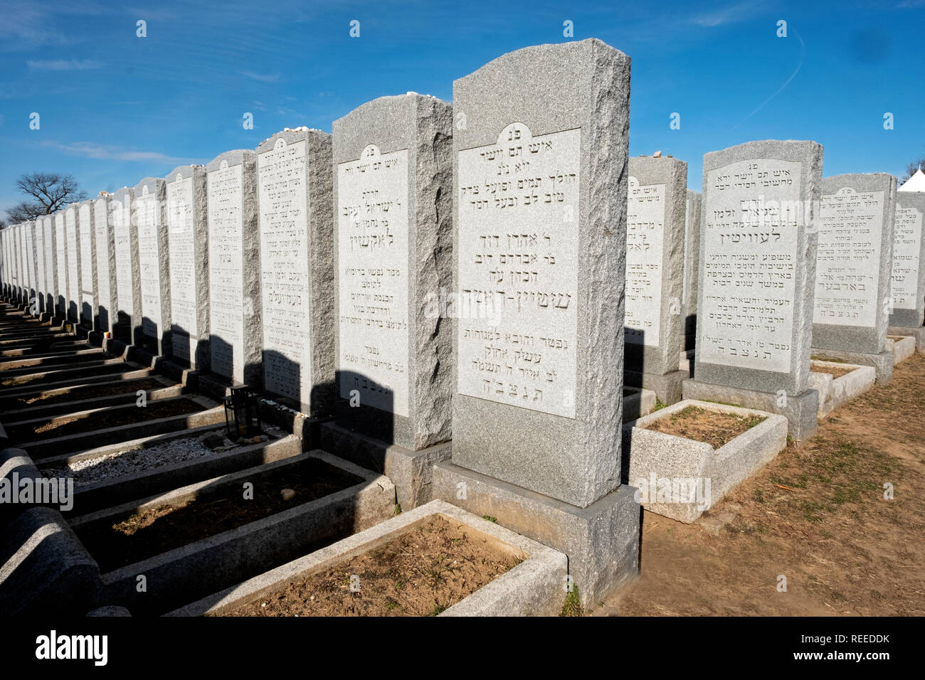 Rows of headstones with Hebrew writing at Montefiore Cemetery in Cambria Heights, Queens, New York City. Stock Photo
