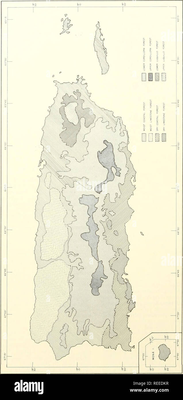 . Common trees of Puerto Rico and the Virgin Islands. Trees -- Puerto Rico; Trees -- Virgin Islands of the United States. « 1) 9 O 83 a 5 IN a s o. Please note that these images are extracted from scanned page images that may have been digitally enhanced for readability - coloration and appearance of these illustrations may not perfectly resemble the original work.. Little, Elbert Luther, 1907-; Wadsworth, Frank H. (Frank Howard). Washington, D. C. : U. S. Dept. of Agriculture, Forest Service Stock Photo