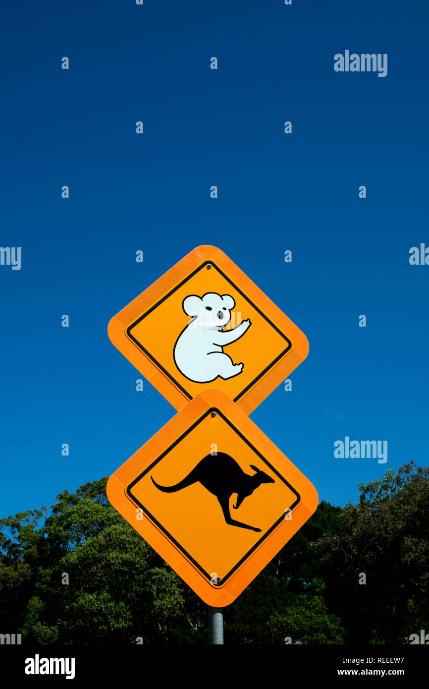 Koalas and kangaroos warning road sign, North Stradbroke Island, Queensland, Australia Stock Photo