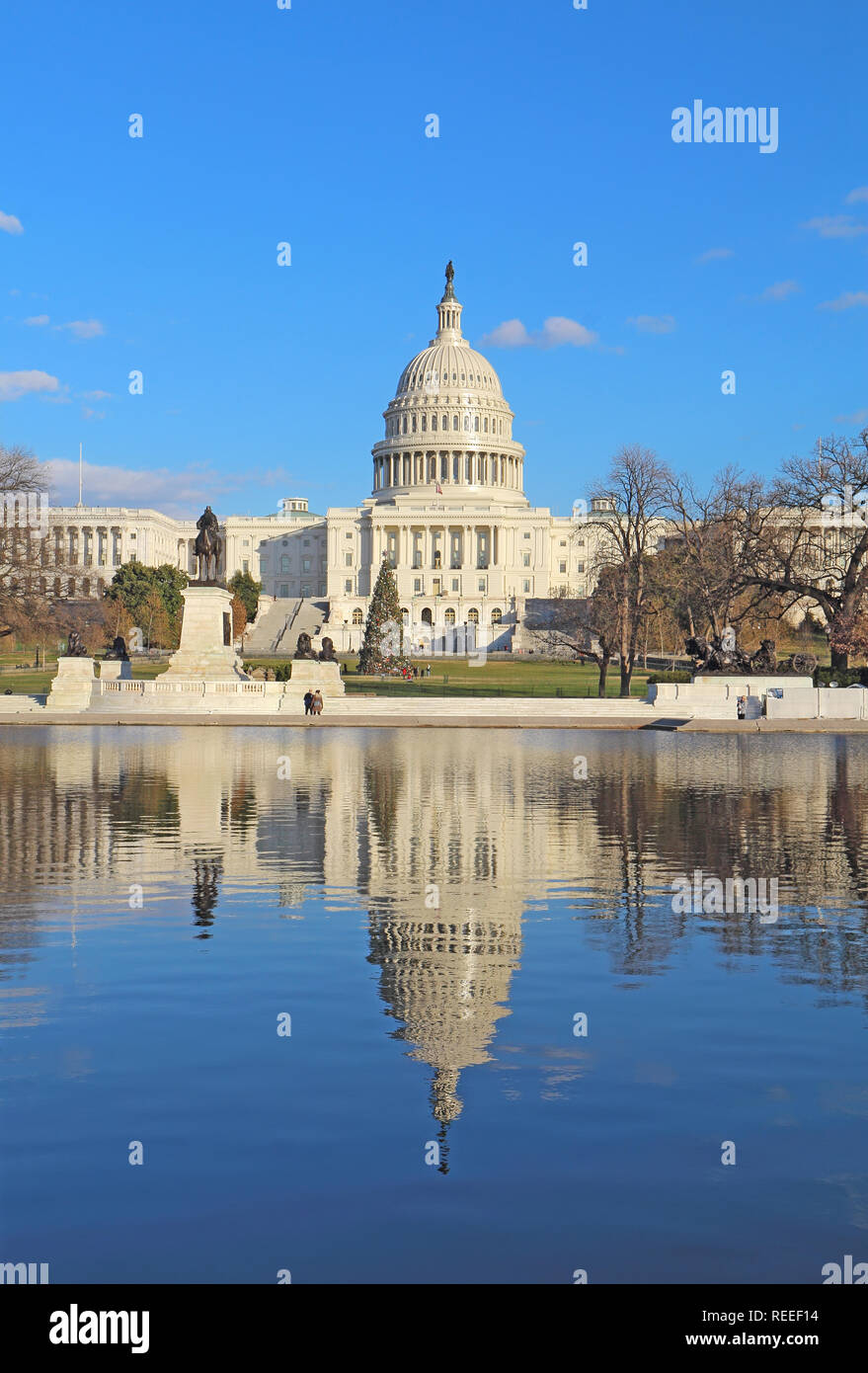 The west side of the United States Capitol building and Ulysses S Grant memorial in Washington, DC reflected in the reflecting pool with Christmas tre Stock Photo