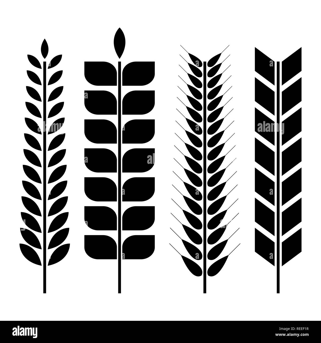 Set of various spikelets of wheat. Black silhouettes on a white background, vector illustration. Stock Vector