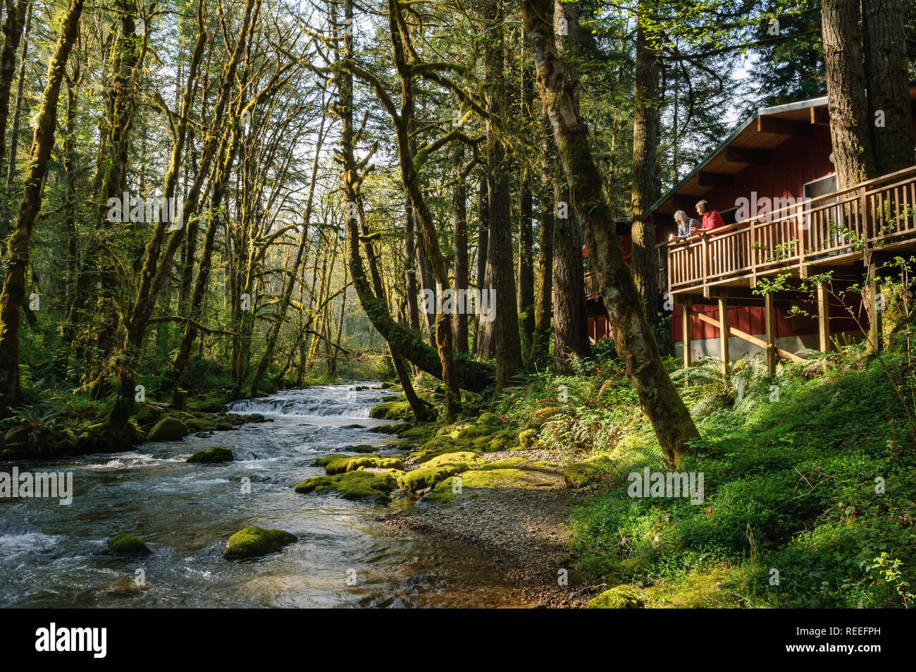 Cabin On Marten Creek At The Wayfarer Resort Mckenzie River