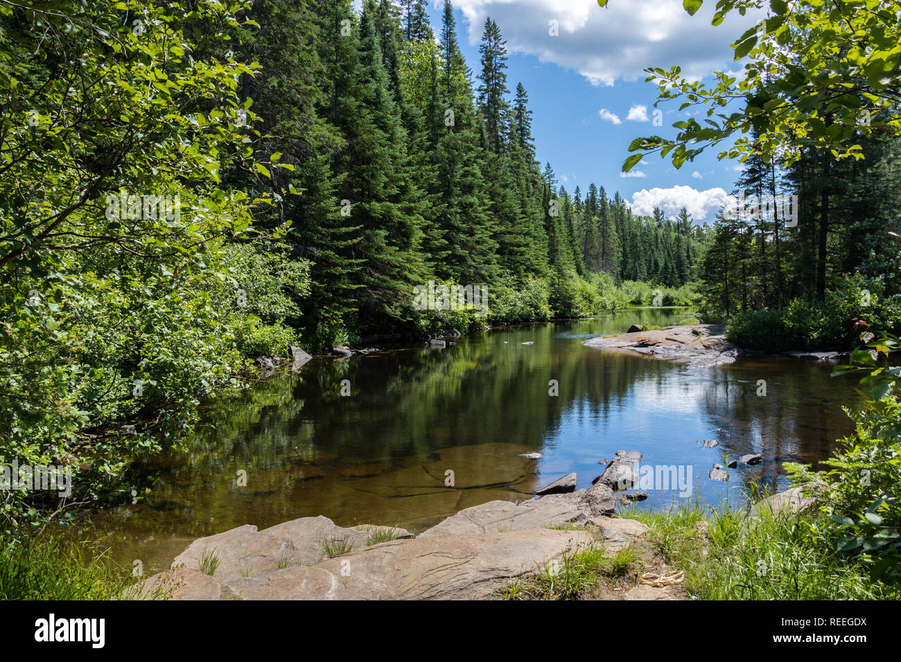 Madawaska river by dam between whitefish and pog lakes near old airfield Algonquin Stock Photo