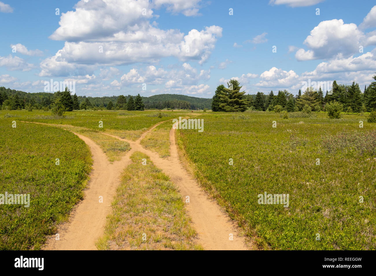 City Market Moab >> Paths Crossing Stock Photos & Paths Crossing Stock Images ... City Market Moab >> Paths Crossing Stock Photos & Paths Crossing Stock Images ...