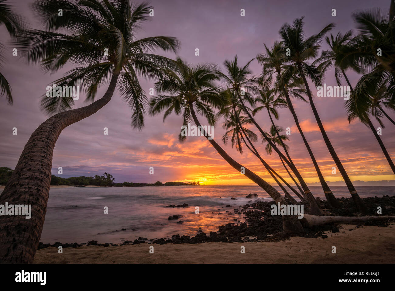 Sunset and coconut palm trees at Makalawena Beach, Kekaha Kai State Park, Kona-Kohala Coast, Big Island of Hawaii. Stock Photo