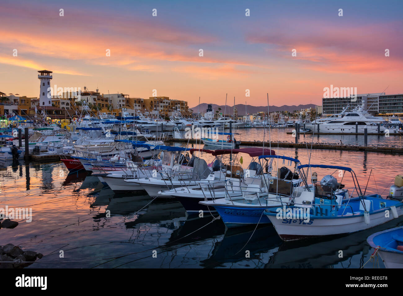 Boats in the marina at Cabo San Lucas, Baja California Sur, Mexico ...