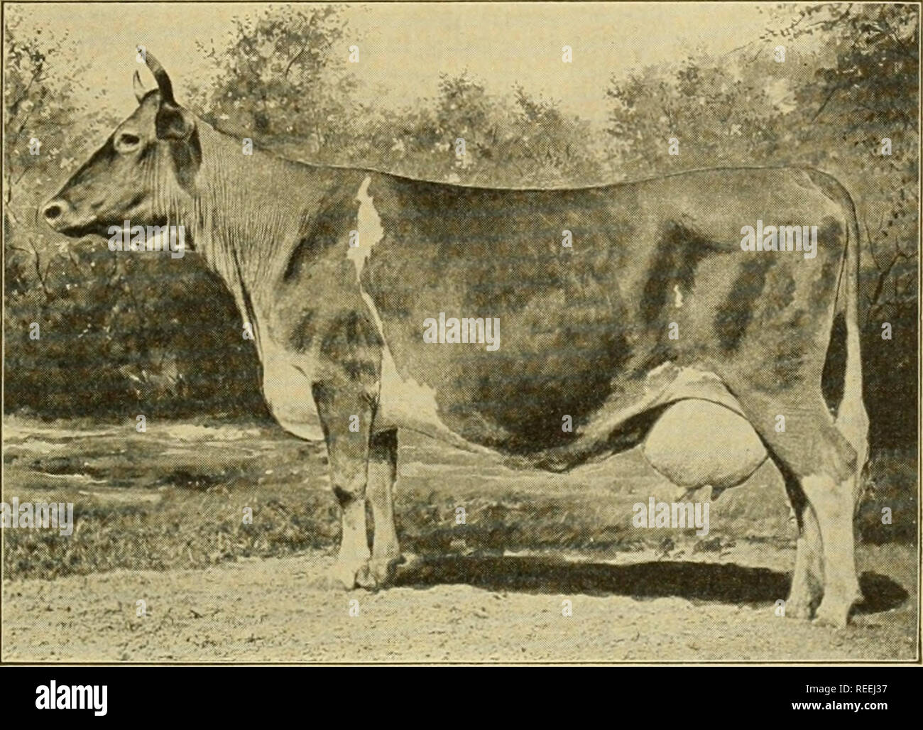 . Complete farmer's guide. Agriculture; Farm life. [from old catalog