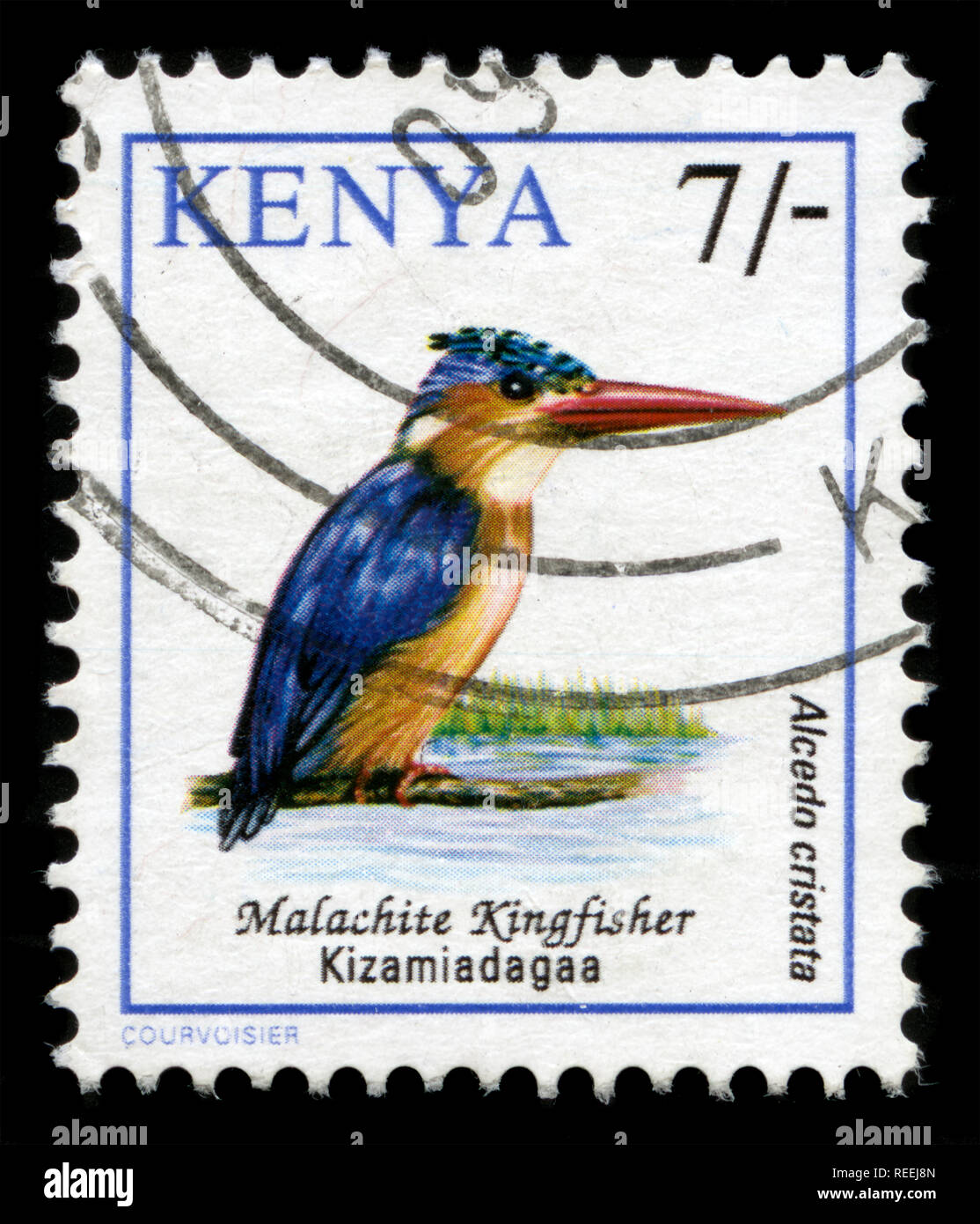 Postage stamp from Kenya in the Birds series issued in 1993 Stock Photo
