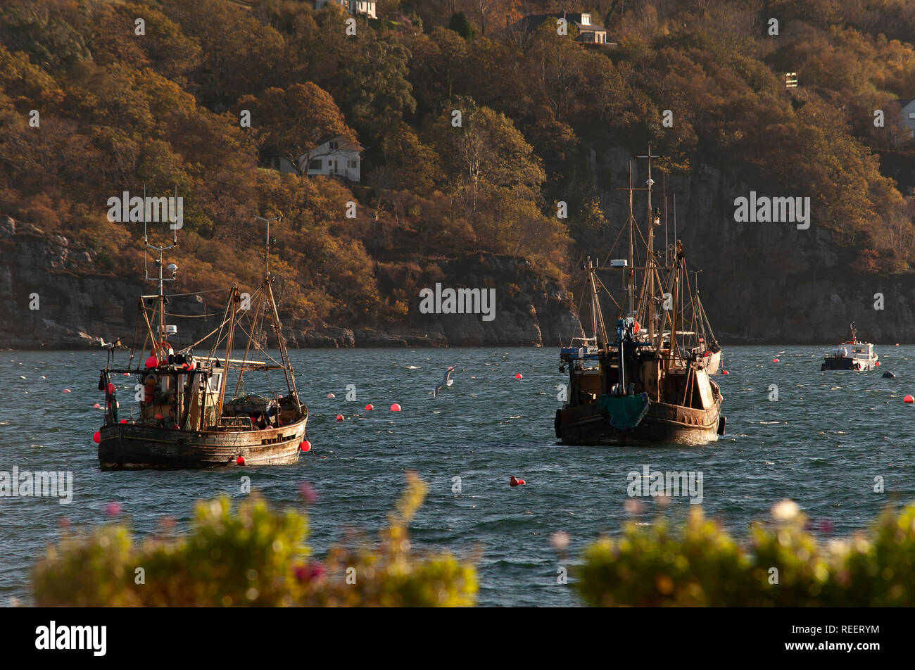 Fishing boats in Loch Broom. Ullapool, Ross and Cromarty, Scotland Stock Photo