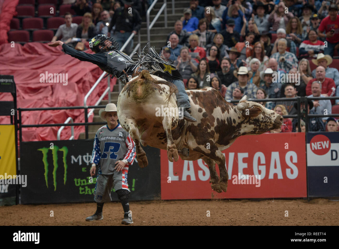 PBR Event, Professional Bull Riding Glendale, AZ 2019 Stock Photo Alamy