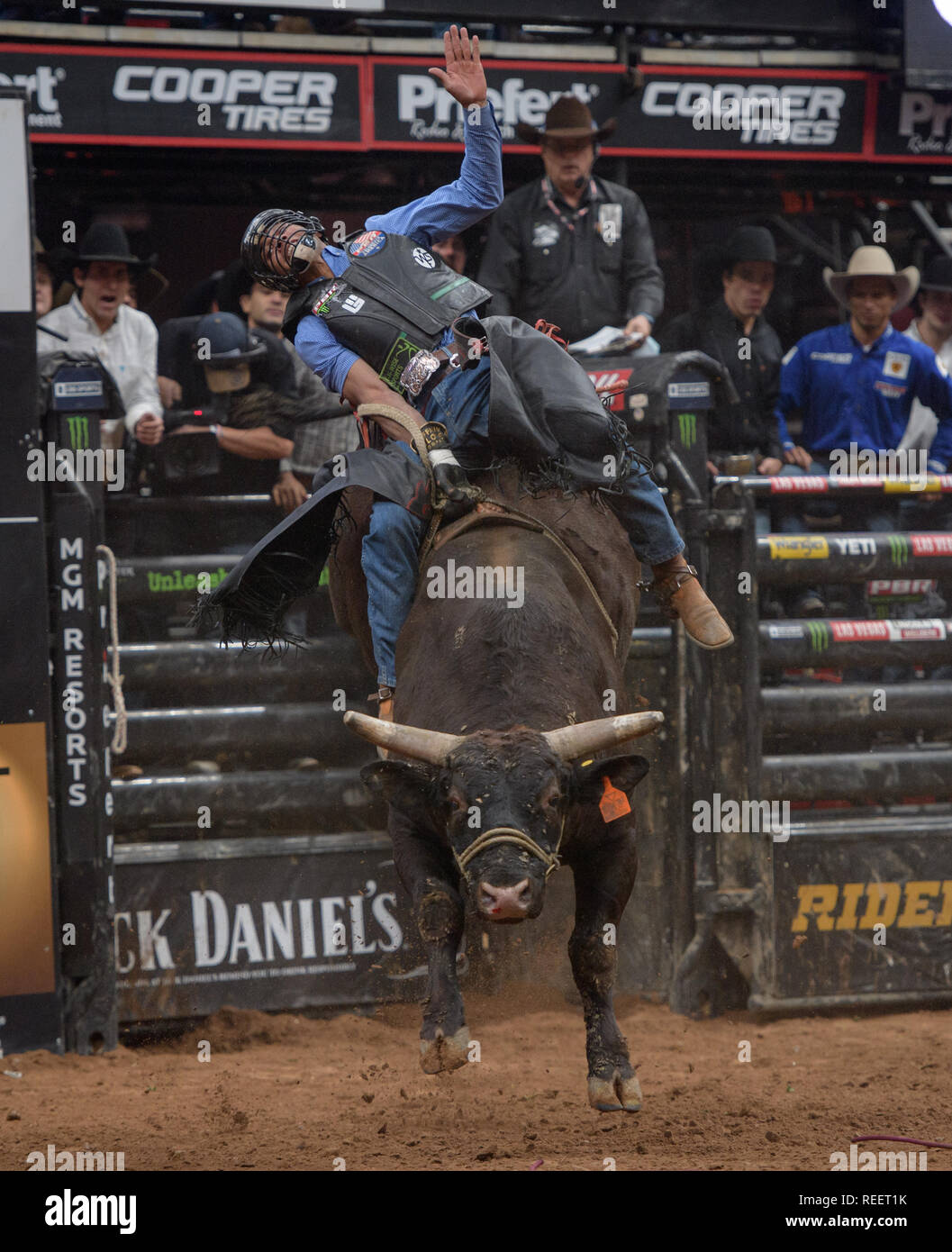 PBR Event, Professional Bull Riding - Glendale, AZ 2019 Stock Photo - Alamy