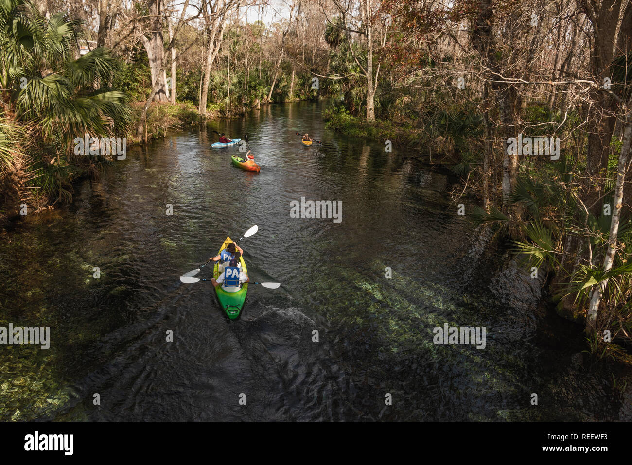 Kayaking Silver Springs River Ocala, Florida USA Stock Photo - Alamy