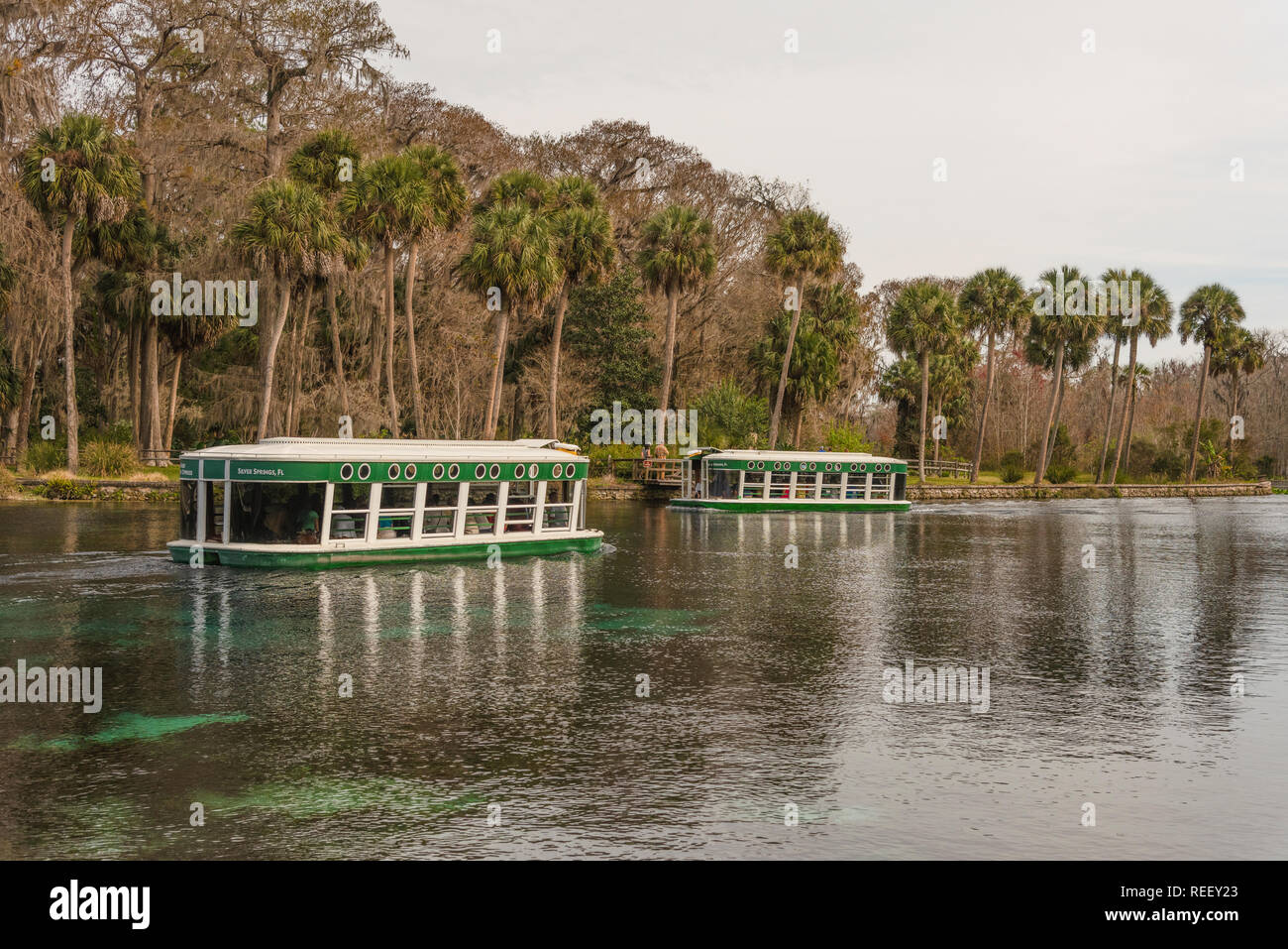 Glass Bottom Boat Silver Springs State Park Ocala, Florida USA Stock