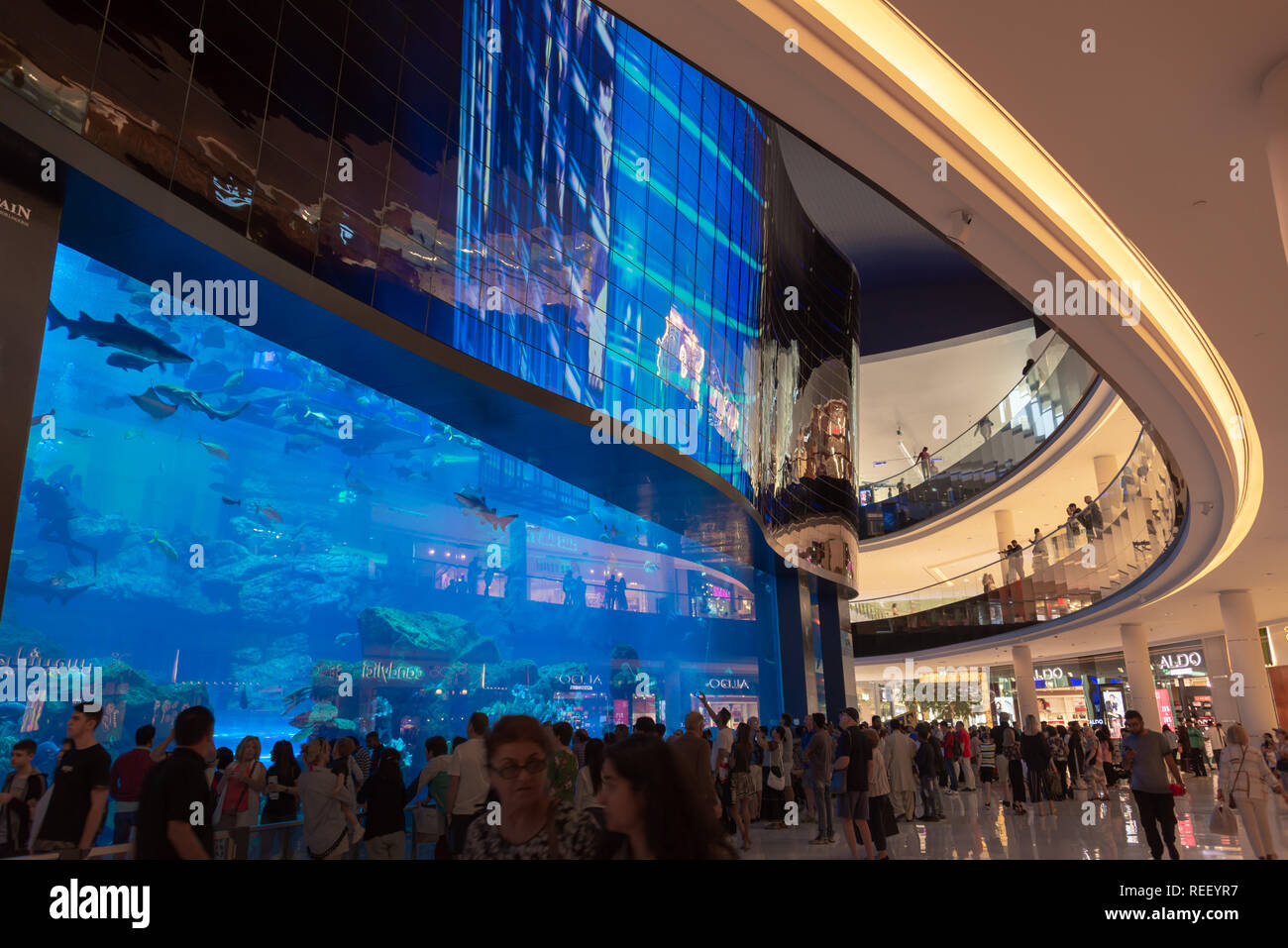 People in front Dubai aquarium in Dubai mall, United Arab Emirates Stock Photo