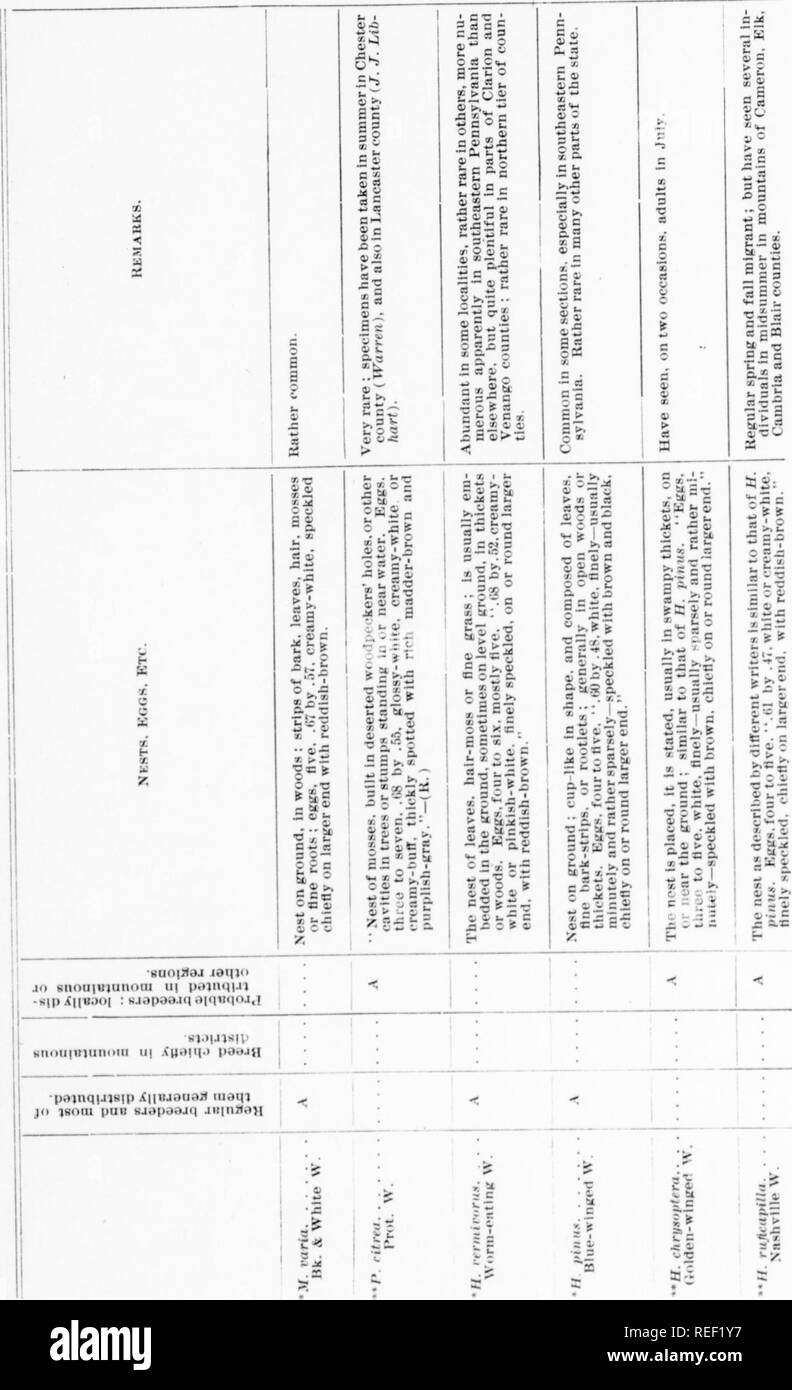 . Report on the birds of Pennsylvania : with special reference to the food habits, based on over four thousand stomach examinations. Birds. 268 BIRDS OF FENXSYLVANIA. 1 C J ? ^i g' Do « « 2.S ti-^ 3 C £&gt; 3 ..O -a a cd C X f— a&gt; Ct '-!• J? U «J a 0) a &gt;= 3 g ;= = c es e w S- S ;, '^1 osgM tn'^T: a c c &quot;E&quot;&quot; S3 ^-:3 X 5g J:=5 — .r a as. Please note that these images are extracted from scanned page images that may have been digitally enhanced for readability - coloration and appearance of these illustrations may not perfectly resemble the original work.. Warren, Benjamin H Stock Photo