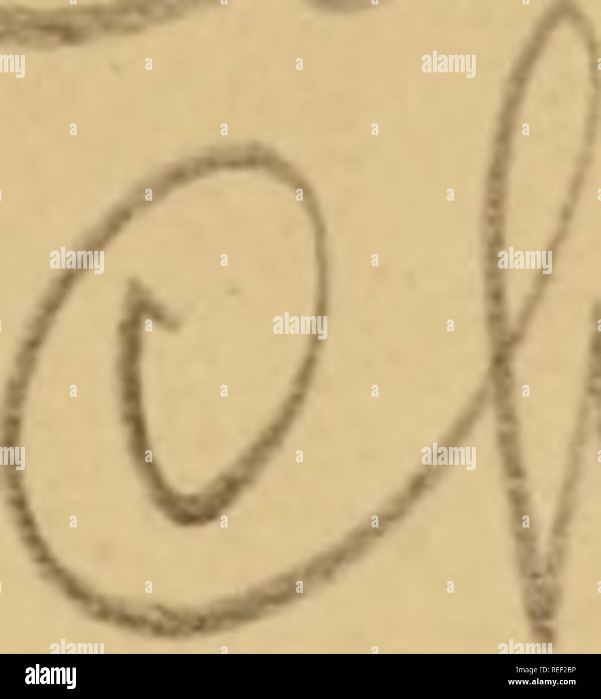 The Common Colics Of The Horse Their Causes Symptoms Diagnosis And Treatment Horses Colic In Horses N 00 Rjn X F W O F N Ix U J L The Please Note That