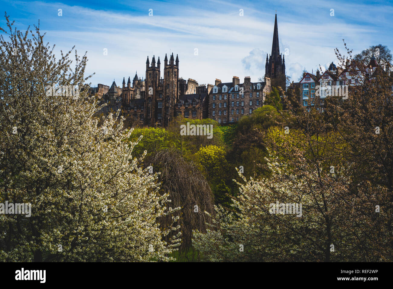 View of the Royal Mile From Princes Street Gardens, Edinburgh, Scotland, UK Stock Photo