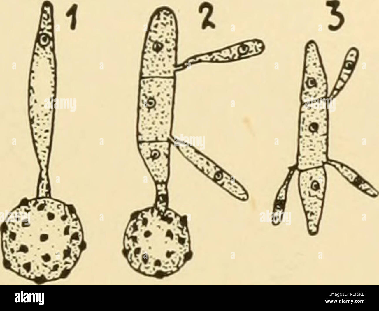 Rossiyaning kiyinish xonalarida jinsiy aloqa