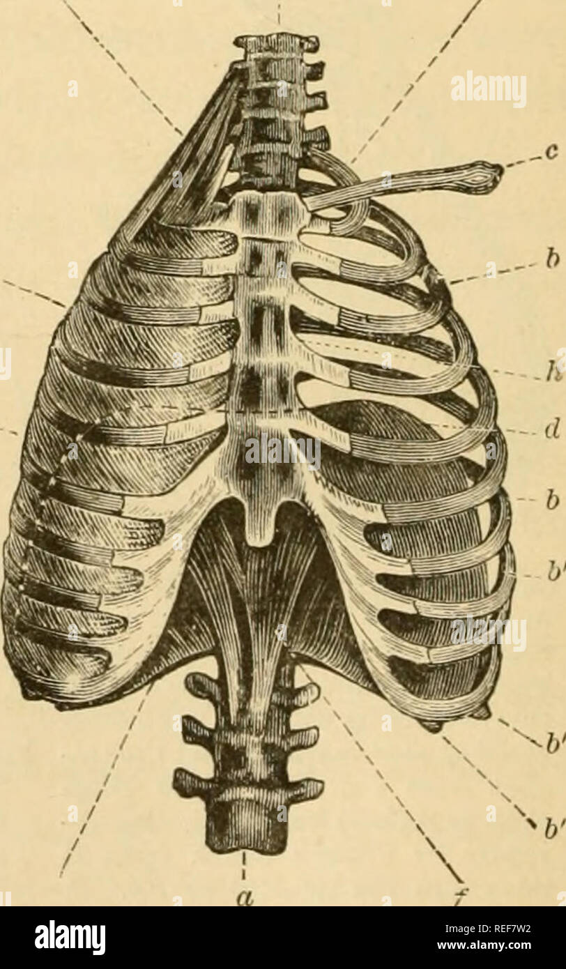 Nos valve hires stock photography and images Alamy