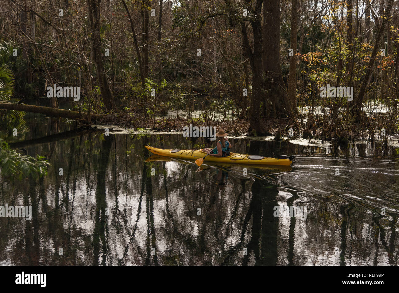 Kayaking the Silver Springs River Ocala, Florida USA Stock Photo - Alamy