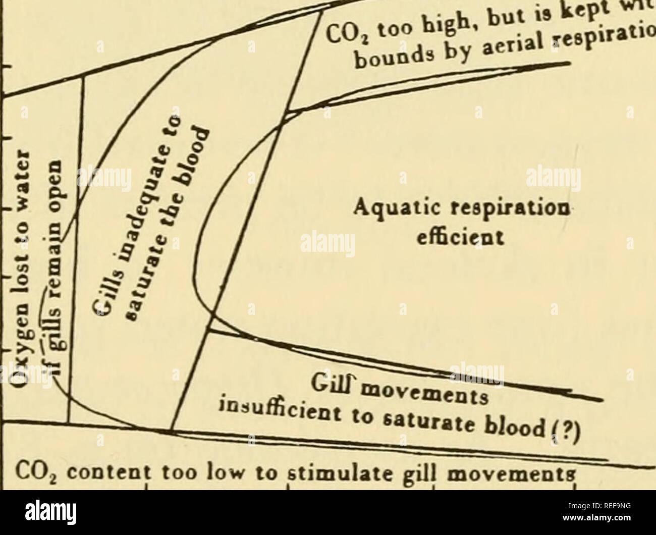 The Comparative Physiology Of Respiratory Mechanisms Respiration 30 40 50 60 70 80 90 100 Oxygen Pressure In Mm Hg Fig 60 Oxygen Dissociation Curves For Blood Of Electric Eel