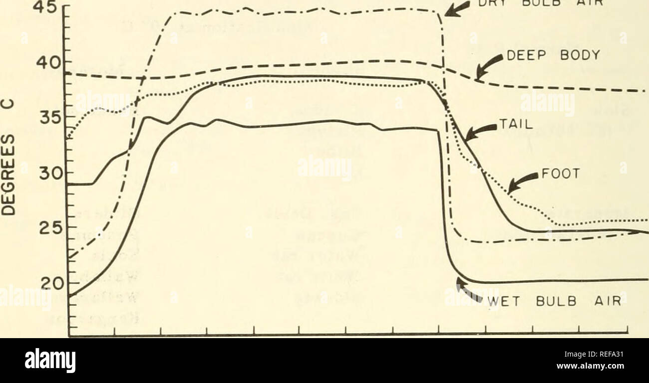 Comparative Physiology Of Temperature Regulation Body Temperature Regulation Ohansen Dry Bulb Air Deep Body Comparative Physiology Of Temperature Regulation Body Temperature Regulation Ohansen Dry Bulb Air Deep Body