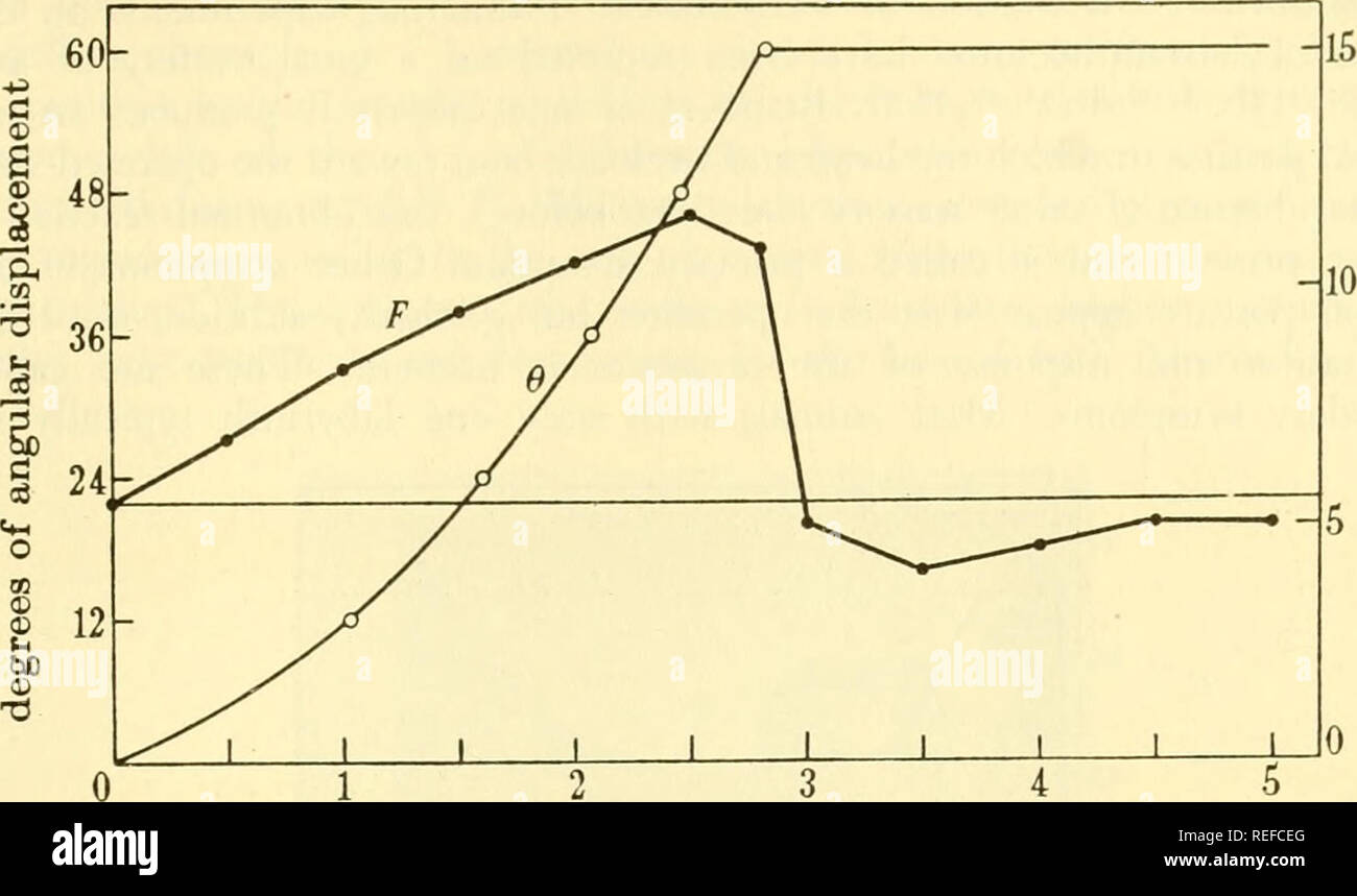 . Comparative animal physiology. Physiology, Comparative; Physiology, Comparative. Mechano- and Equilihrium-Reception 519. c o a, a, S seconds Fig. 188. Relationship between the frequency of the spike potential discharge and ipsilateral angular acceleration. The horizontal line indicates the frequency level of spontaneous discharge. From Lowenstein and Sand.&quot;^. Please note that these images are extracted from scanned page images that may have been digitally enhanced for readability - coloration and appearance of these illustrations may not perfectly resemble the original work.. Prosser, C Stock Photo