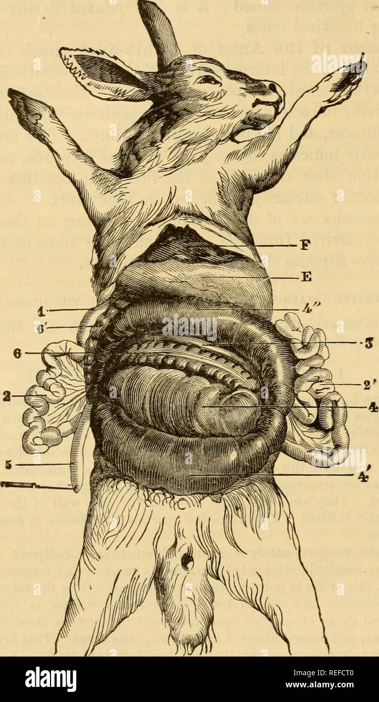 Avera Stock Photos & Avera Stock Images Alamy