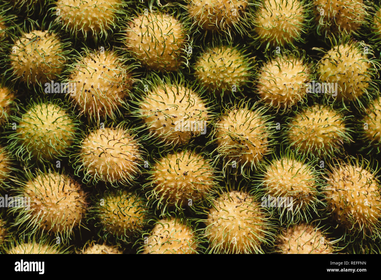 Top View Of Yellow Rambutan Rambutan Is A Local Fruit On Malaysia Native To The Malay Indonesian Region And Other Regions Of Tropical Southeast Asi Stock Photo Alamy