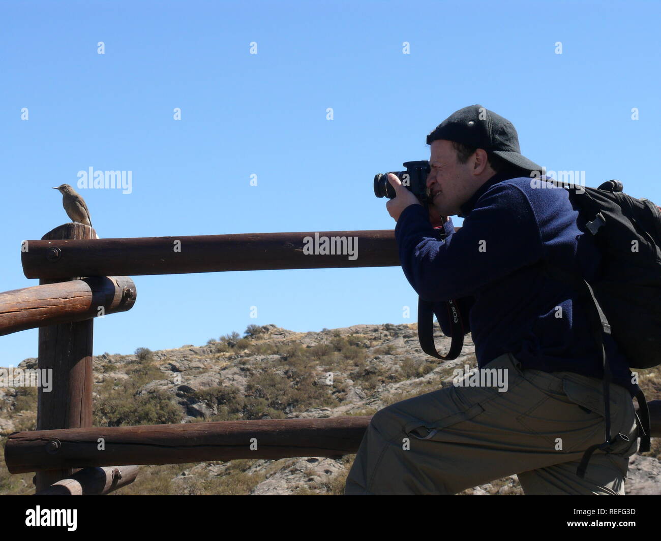 A man taking a picture of a bird really close to him Stock Photo