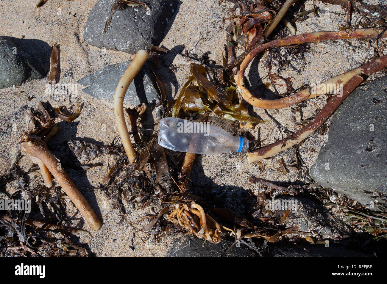 Beach debris plastics bottle and ropes washed up on a beach in Elie Fife Scotland Stock Photo