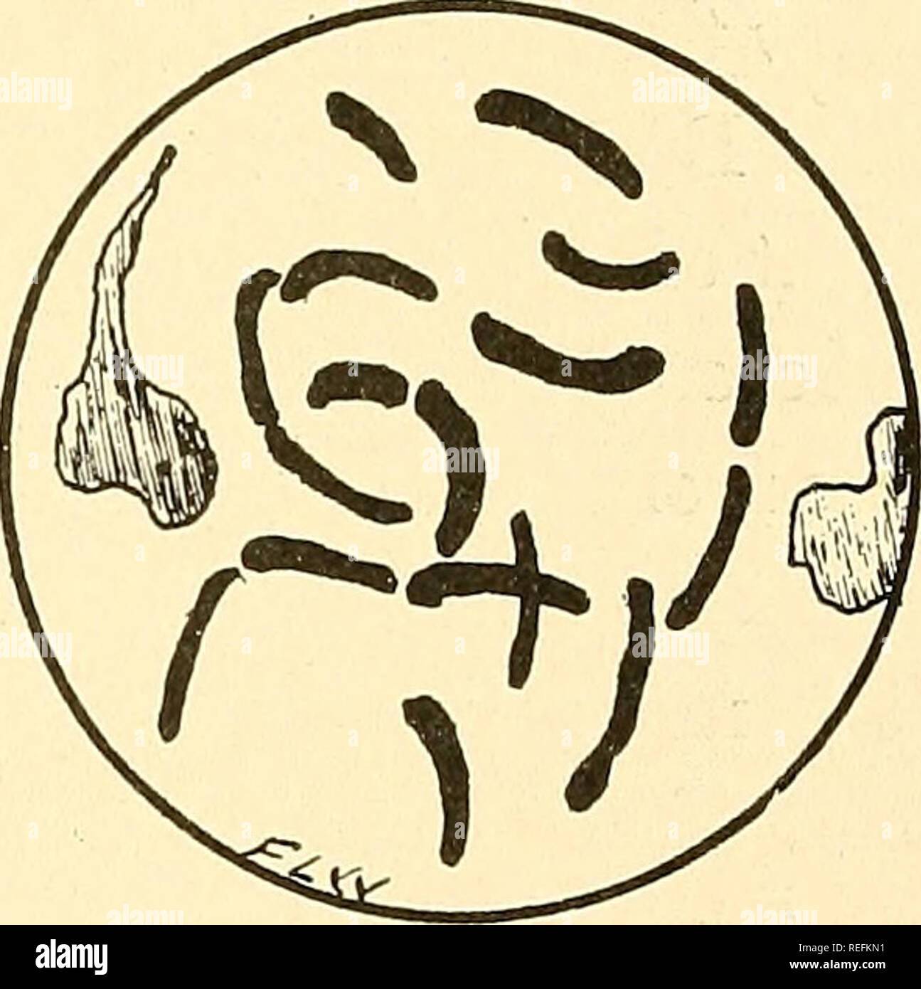 common-diseases-of-farm-animals-veterinary-medicine-chapter-xxvii