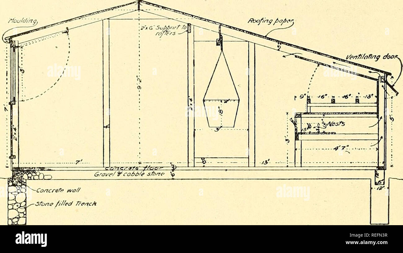 Commercial Poultry Raising Poultry 134 Commercial Poultry