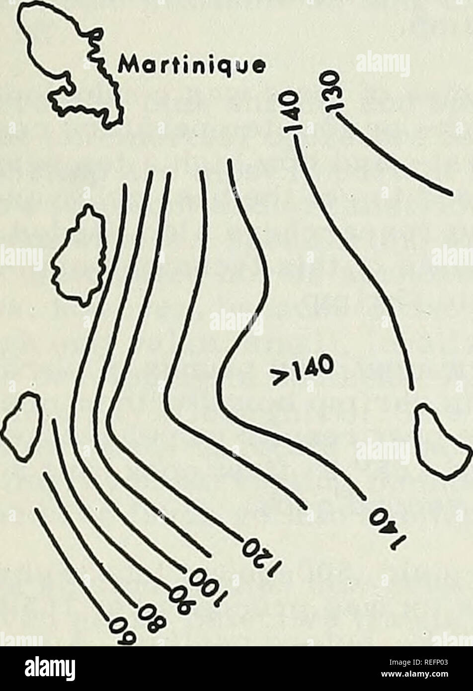 Ancho Fish High Resolution Stock Photography and Images Alamy