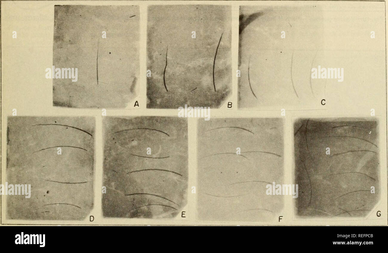 Uoao O High Resolution Stock Photography And Images Alamy