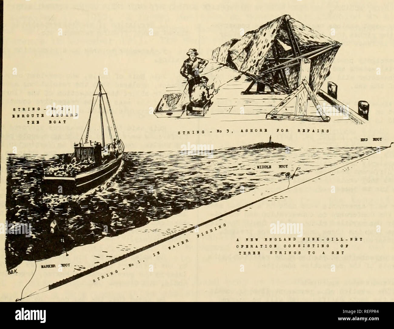 Commercial Fisheries Review Fisheries Fish Trade October 1952 Commercial Fisheries Review 53 Commercial Fisheries Review Fisheries Fish Trade October 1952 Commercial Fisheries Review 53