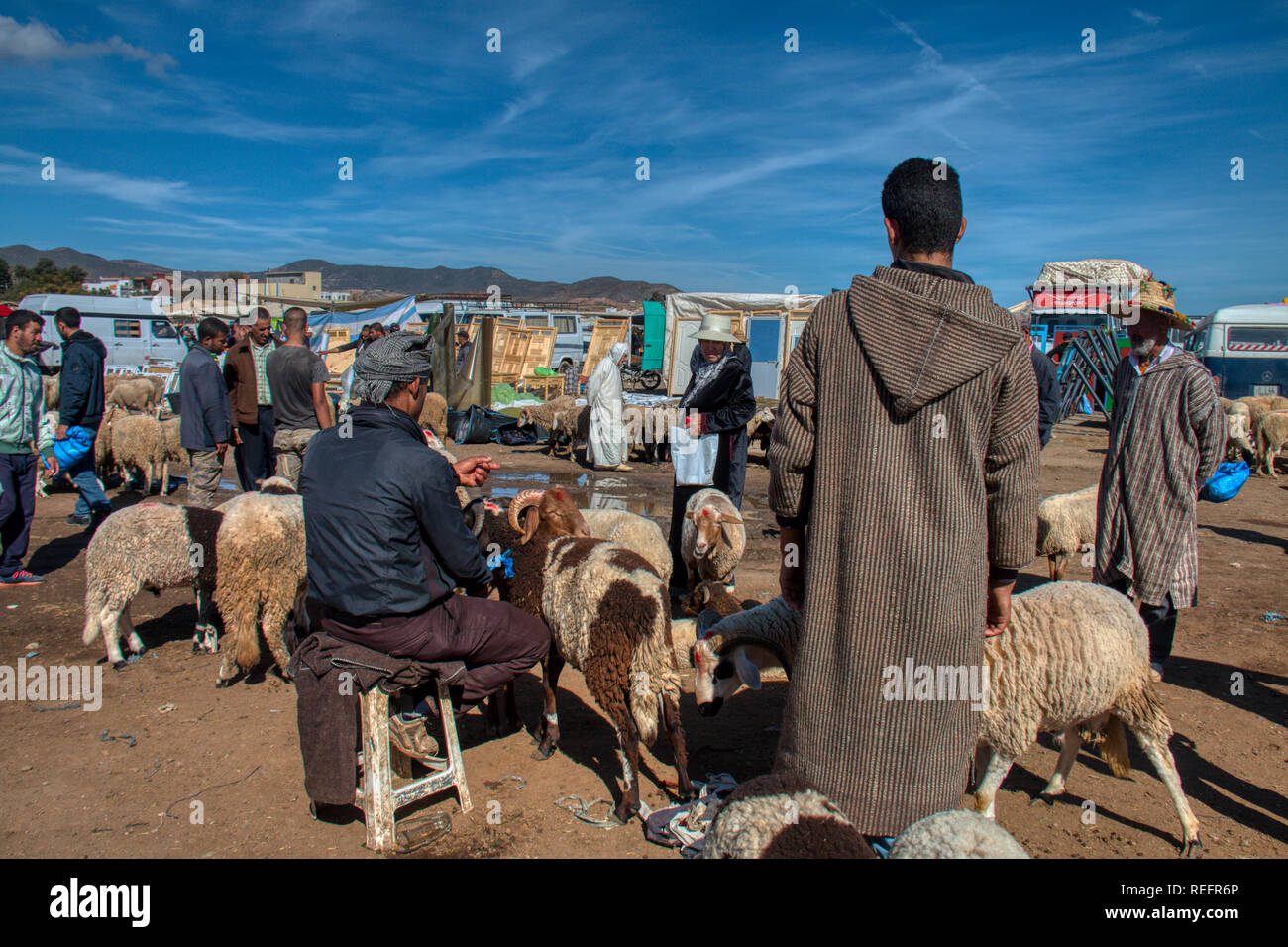 Oued Laou, Chefchaouen, Morocco - November 03, 2018: Cattle sellers and buyers at the outdoor market that is installed every Saturday Stock Photo