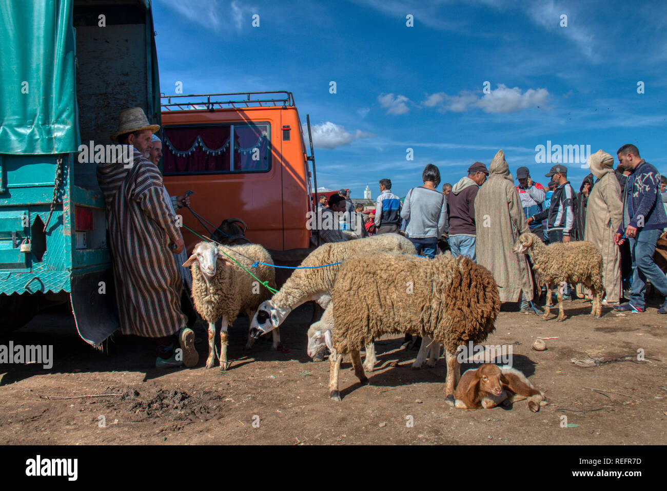 Oued Laou, Chefchaouen, Morocco - November 3, 2018: the sheep vendors in the traditional and picturesque open-air market are held every Saturday Stock Photo