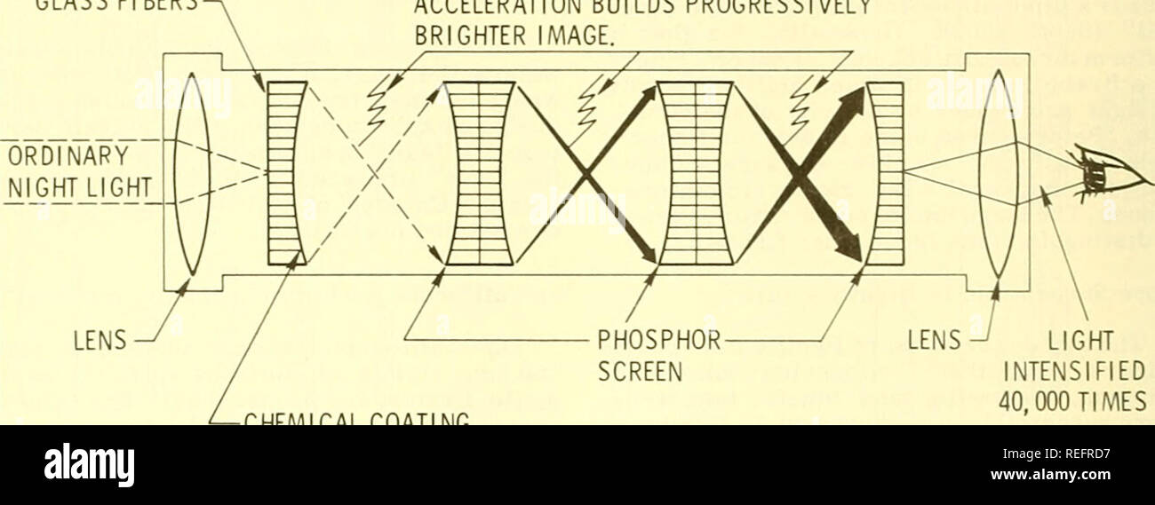 [View 31+] Image Intensifier Tube Labeled