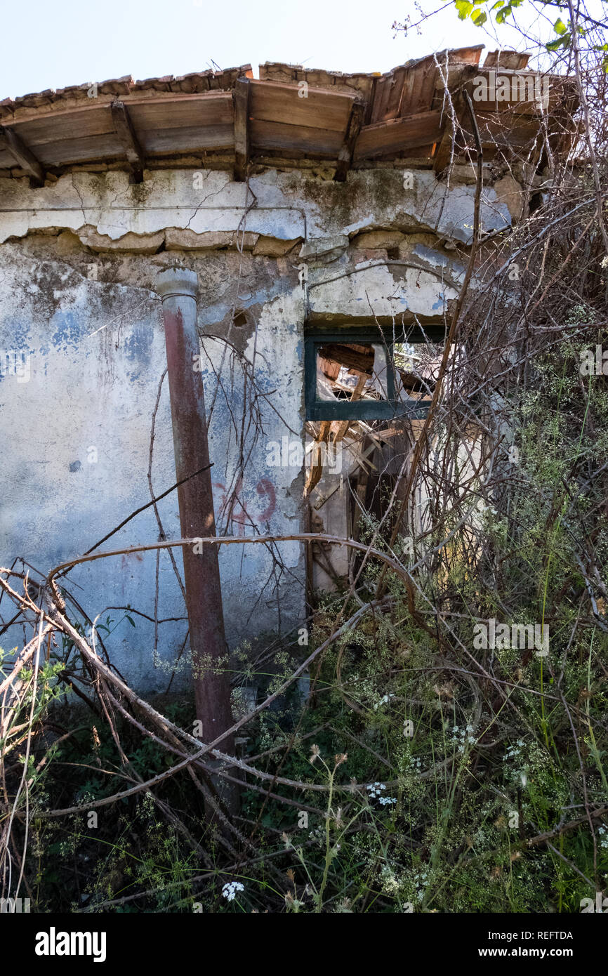 Dilapidated abandoned house facade detail with wild nature on the  surroundings with blue sky background. No people Stock Photo - Alamy